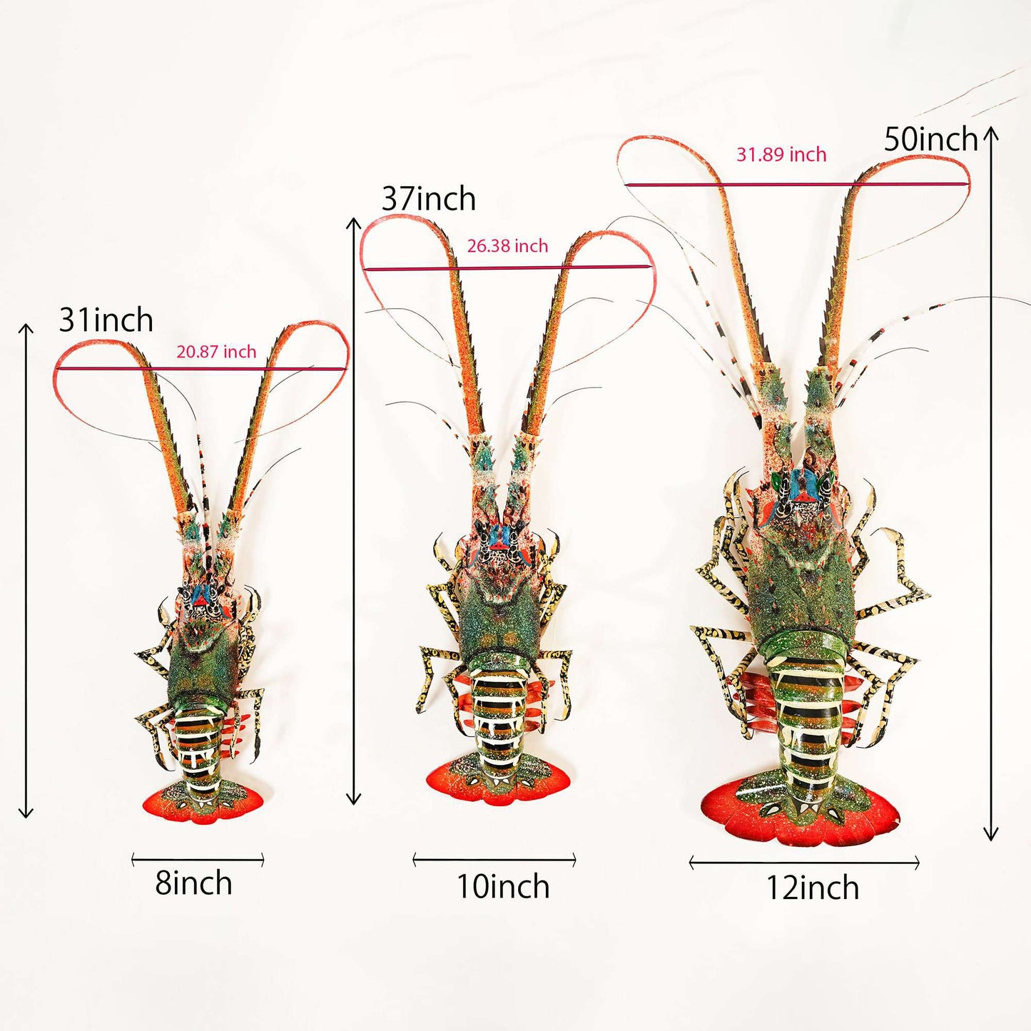 Lobster wall art size chart showing 31 inch, 37 inch, and 50 inch options with width and antenna measurements for coastal decor selection
