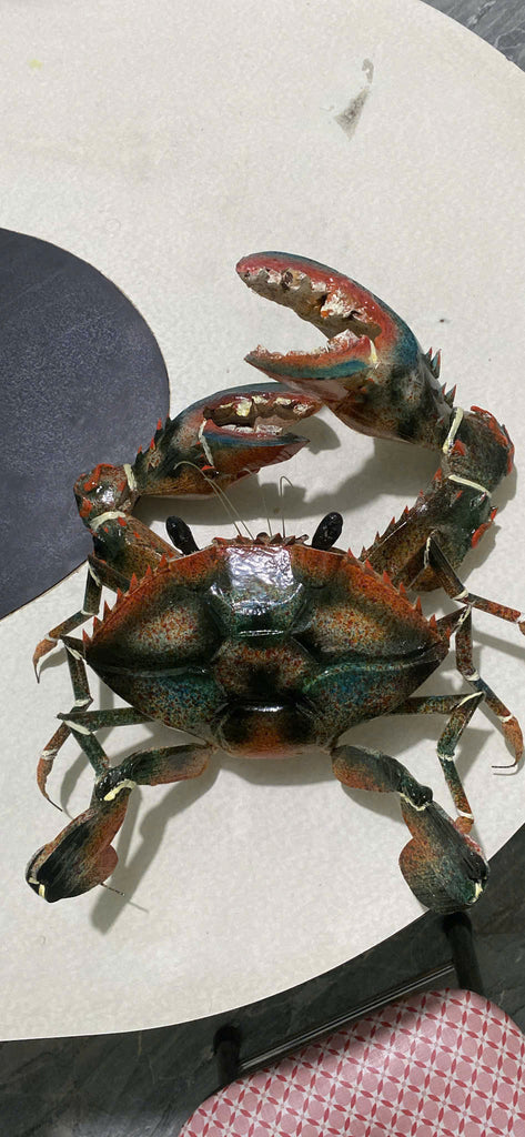  This 40x40x15cm, handcrafted bamboo crab model is used for wall decoration. 